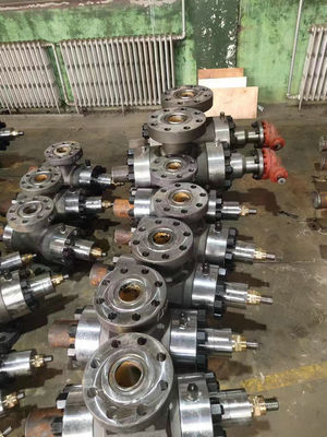 De rode Boring van Ram Blowout Preventer For Well van het Vernauwingsdoden Diverse Dubbele